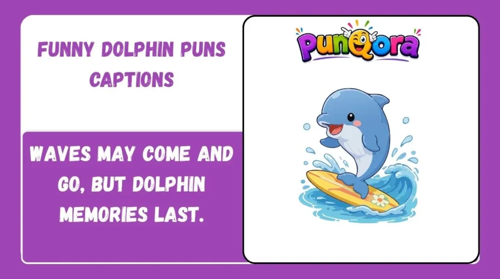Funny Dolphin Puns Captions