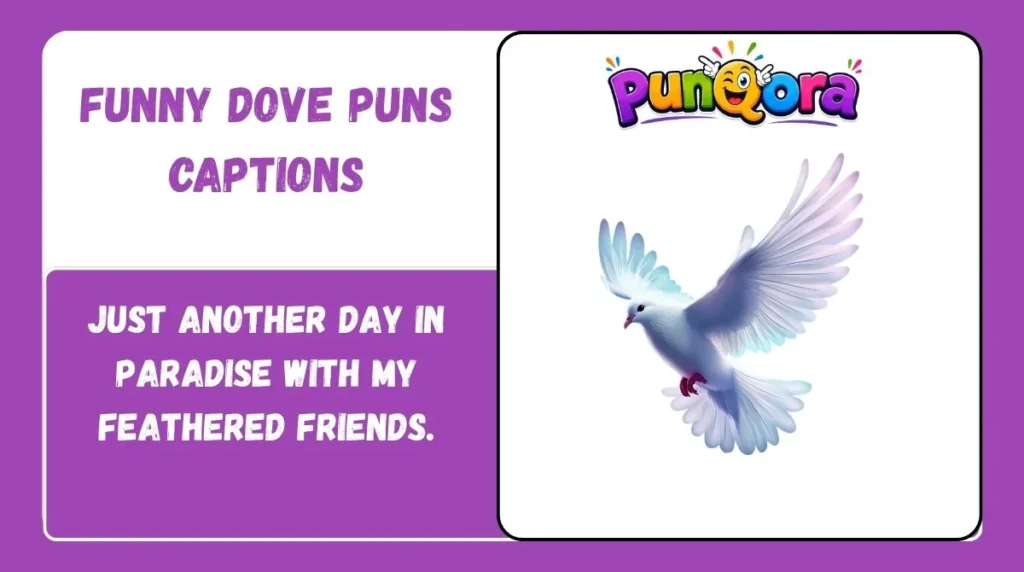 Funny Dove Puns Captions