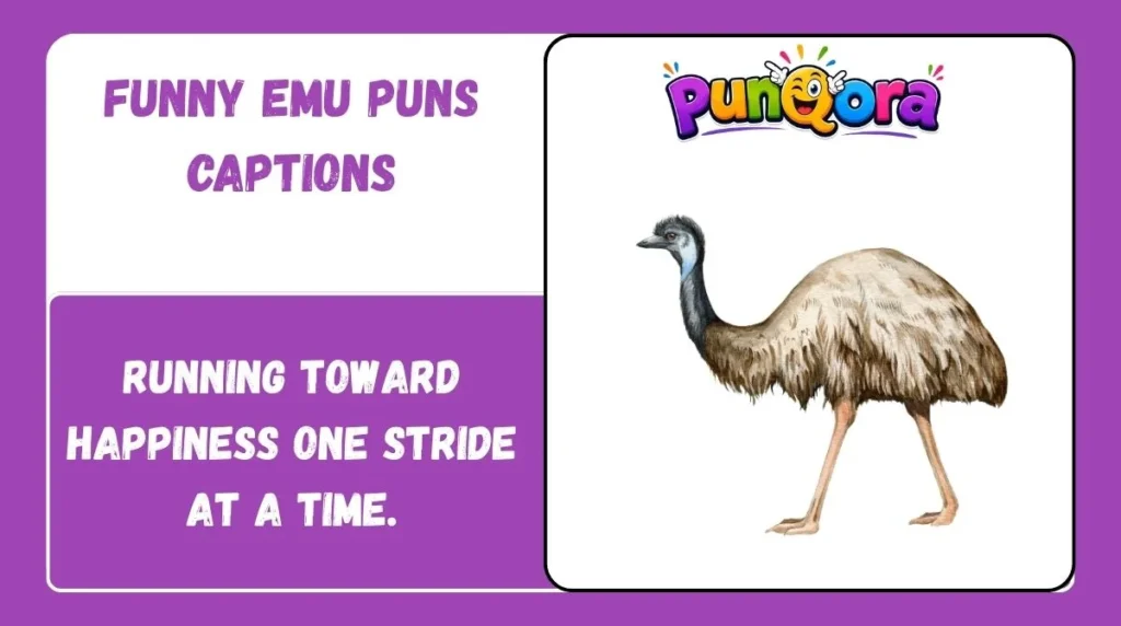 Funny Emu Puns Captions