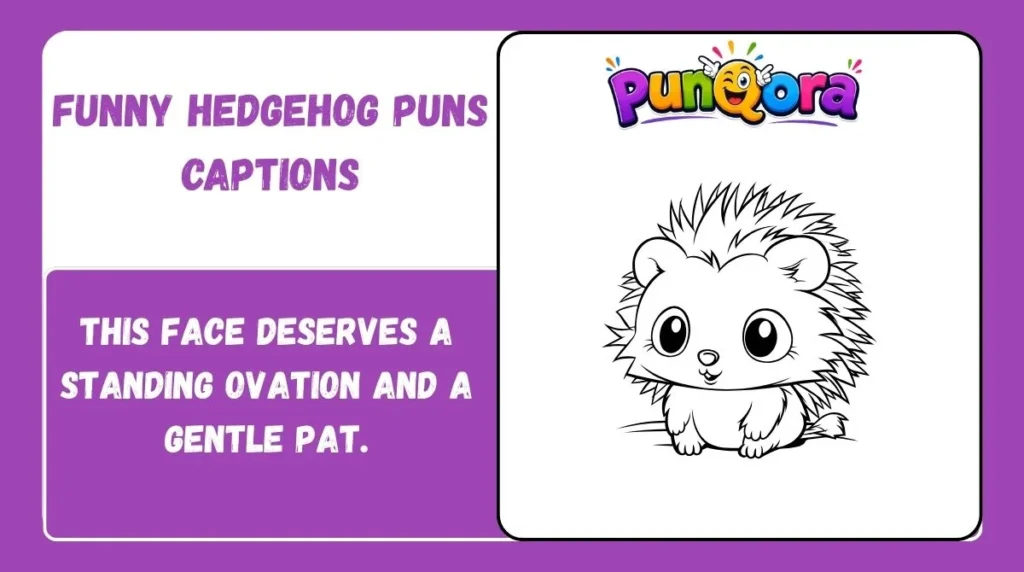 Funny Hedgehog Puns Captions