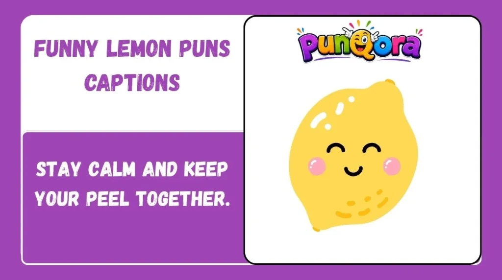 Funny Lemon Puns Captions