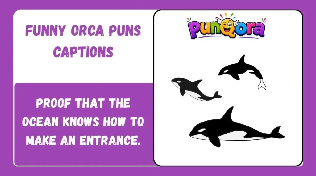 Funny Orca Puns Captions
