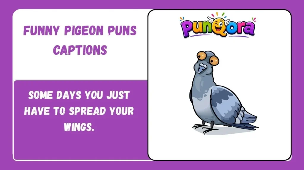 Funny Pigeon Puns Captions