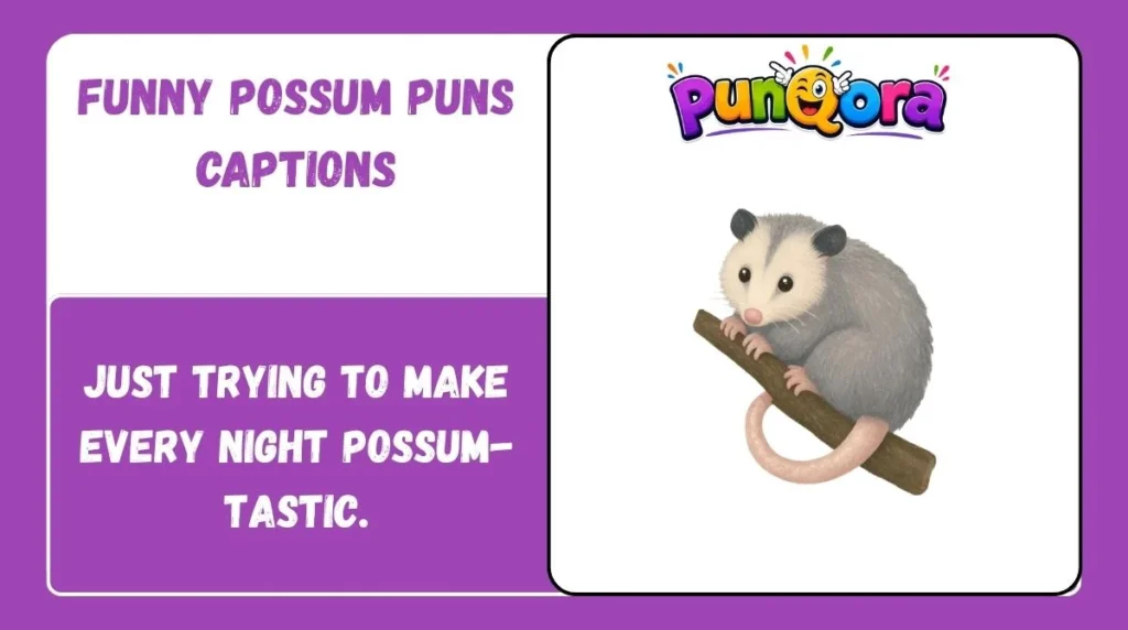 Funny Possum Puns Captions