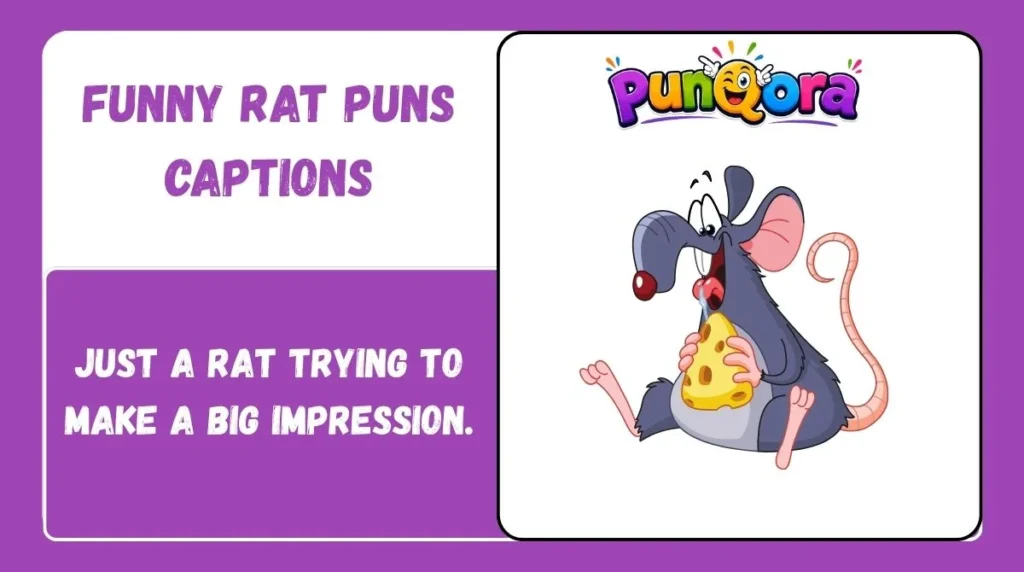 Funny Rat Puns Captions