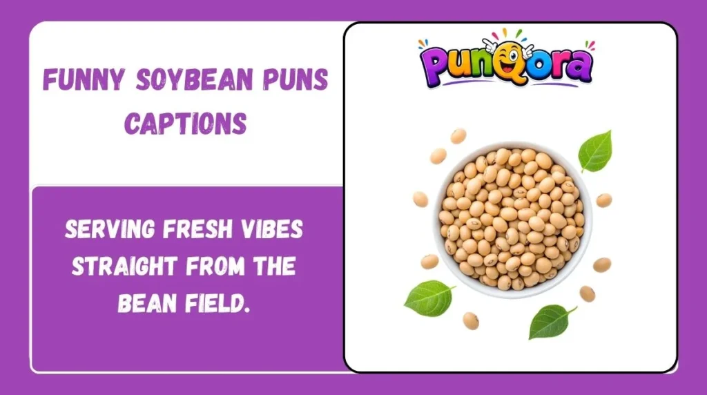 Funny Soybean Puns Captions