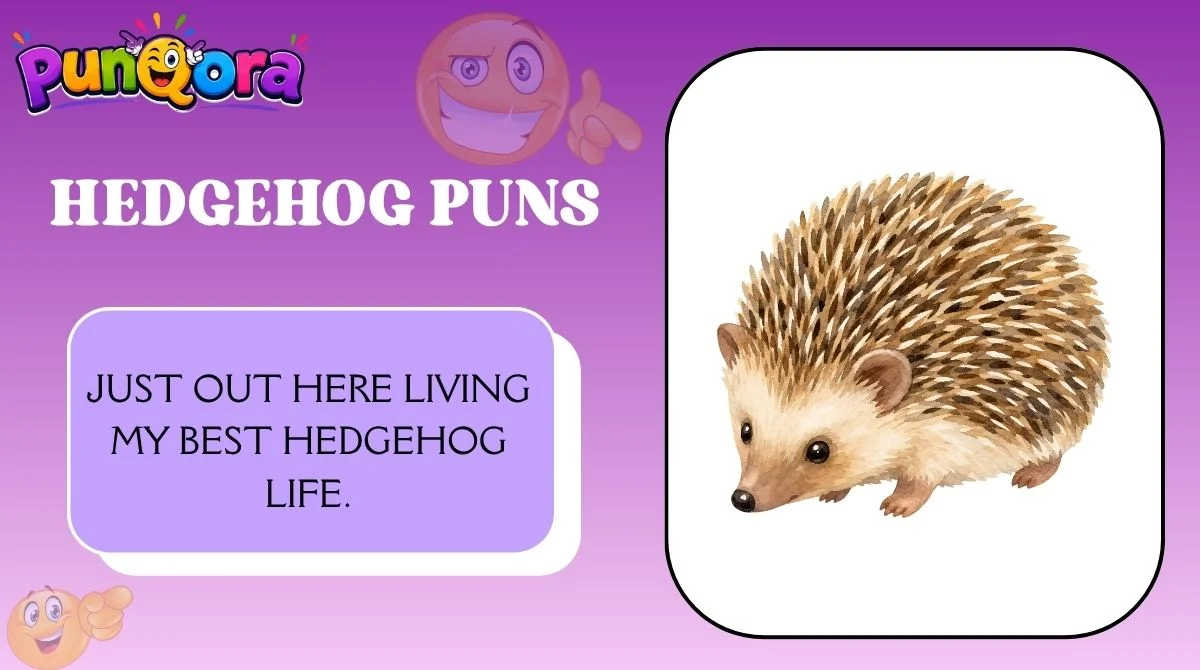 Hedgehog Puns