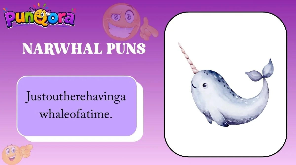 Narwhal Puns