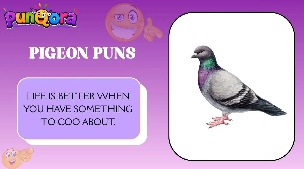 Pigeon Puns