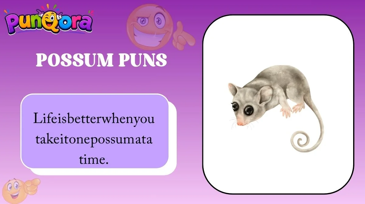 Possum Puns