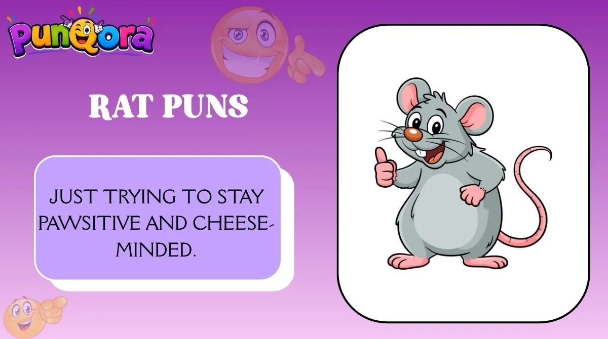 Rat Puns