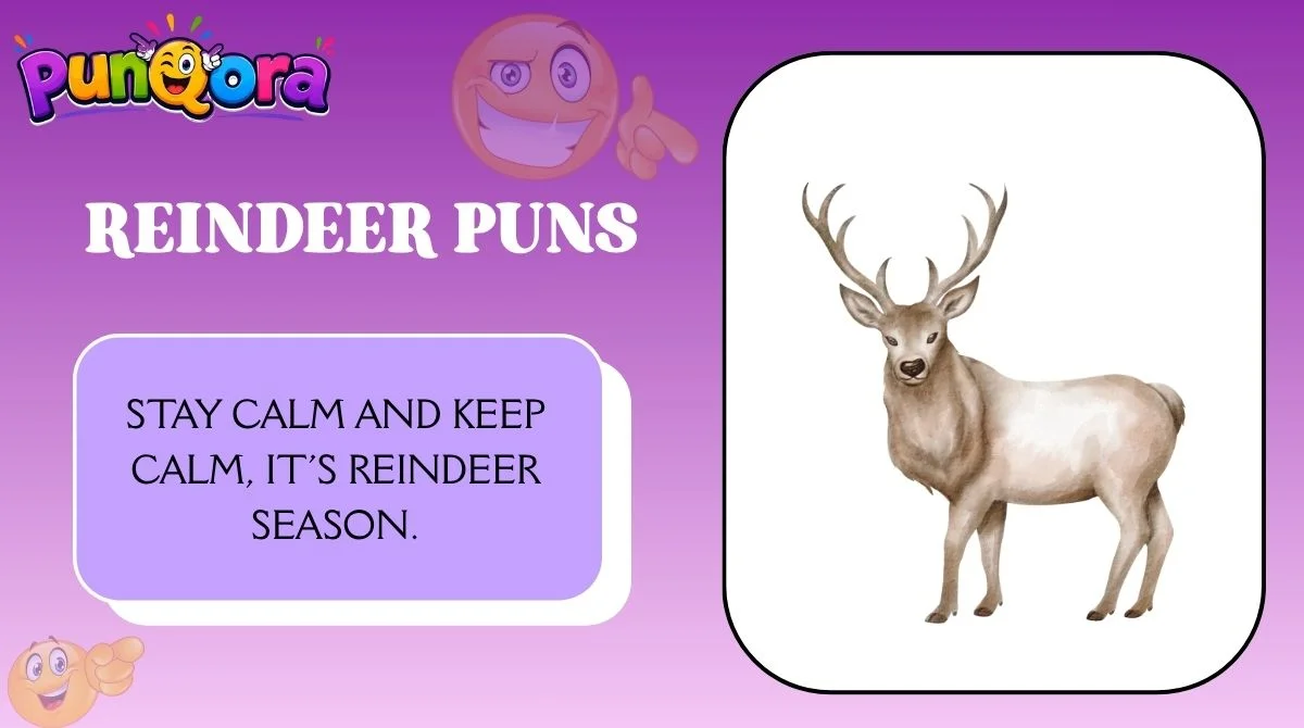 Reindeer Puns
