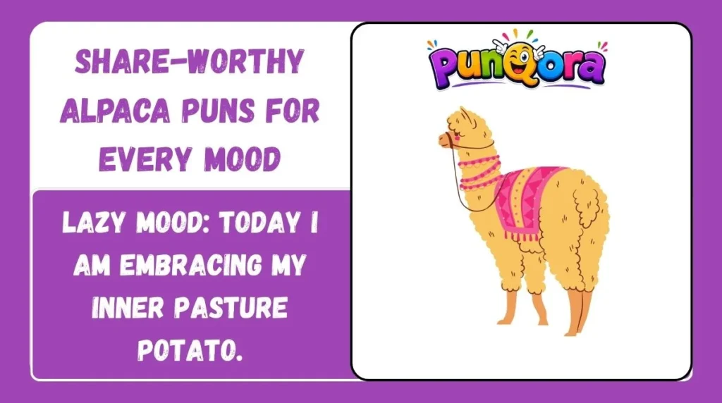 Share-Worthy Alpaca Puns for Every Mood