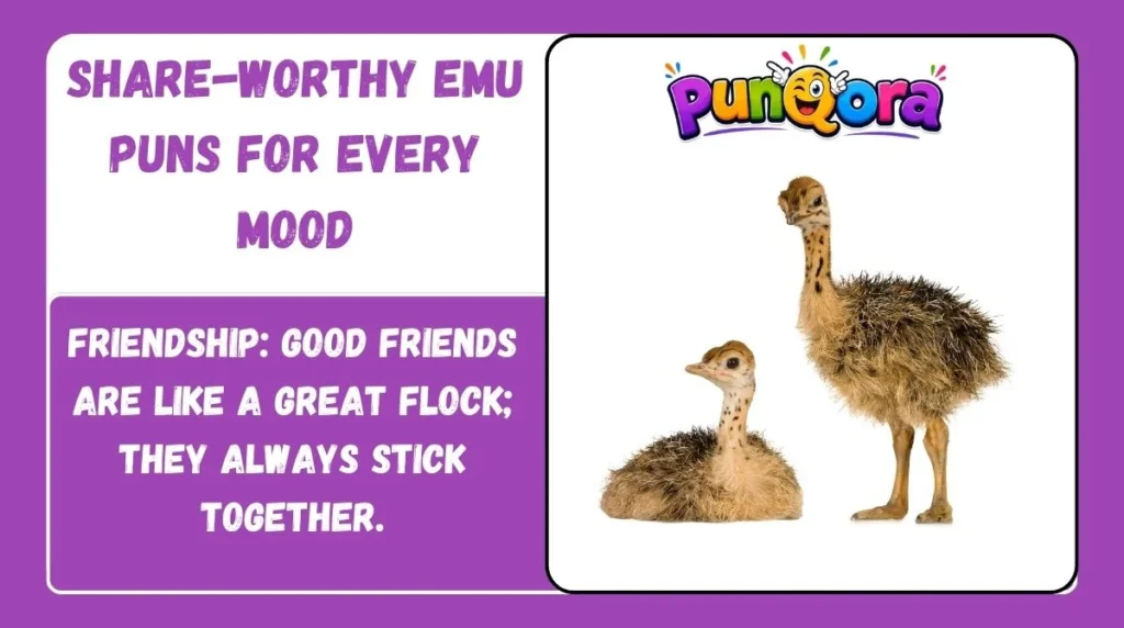 Share-Worthy Emu Puns for Every Mood