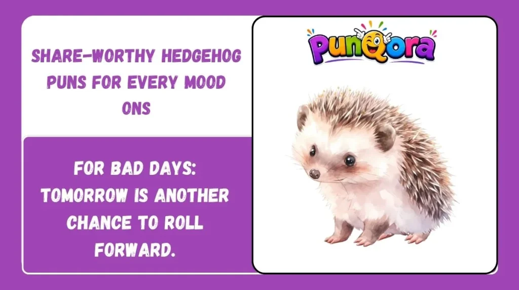Share-Worthy Hedgehog Puns for Every Mood