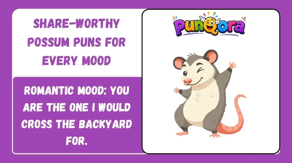 Share-Worthy Possum Puns for Every Mood