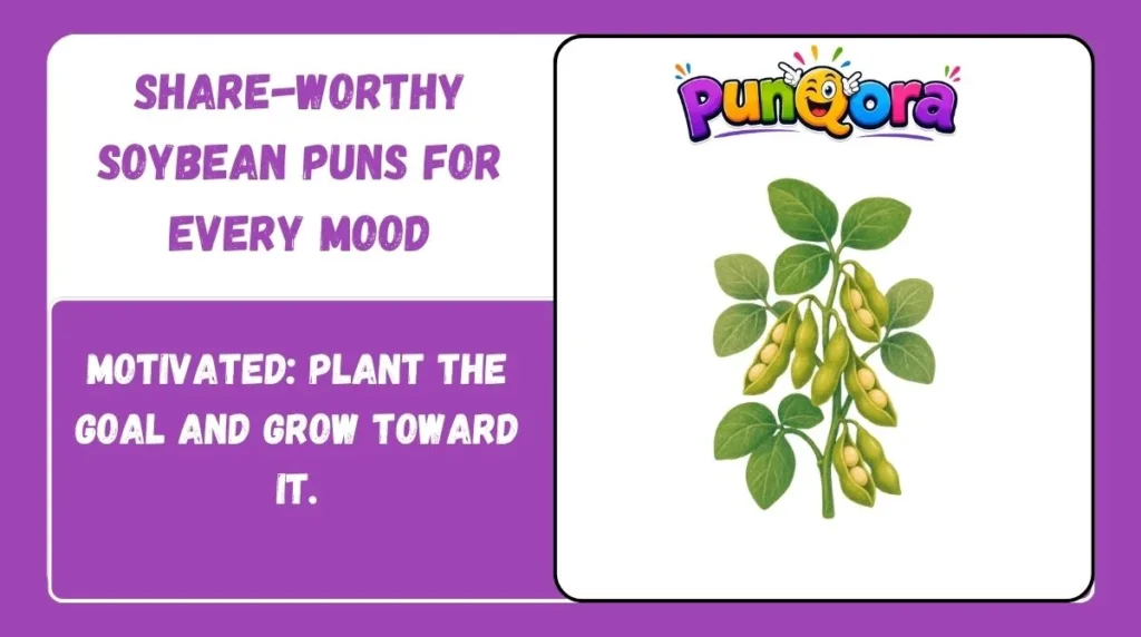 Share-Worthy Soybean Puns for Every Mood