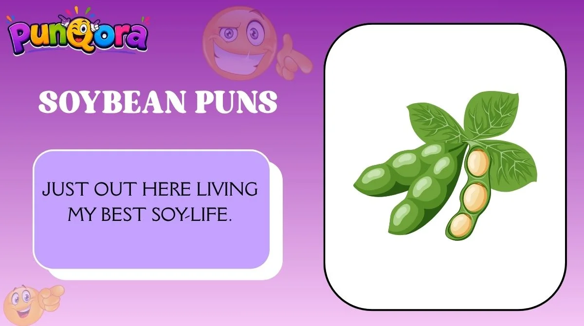 Soybean Puns