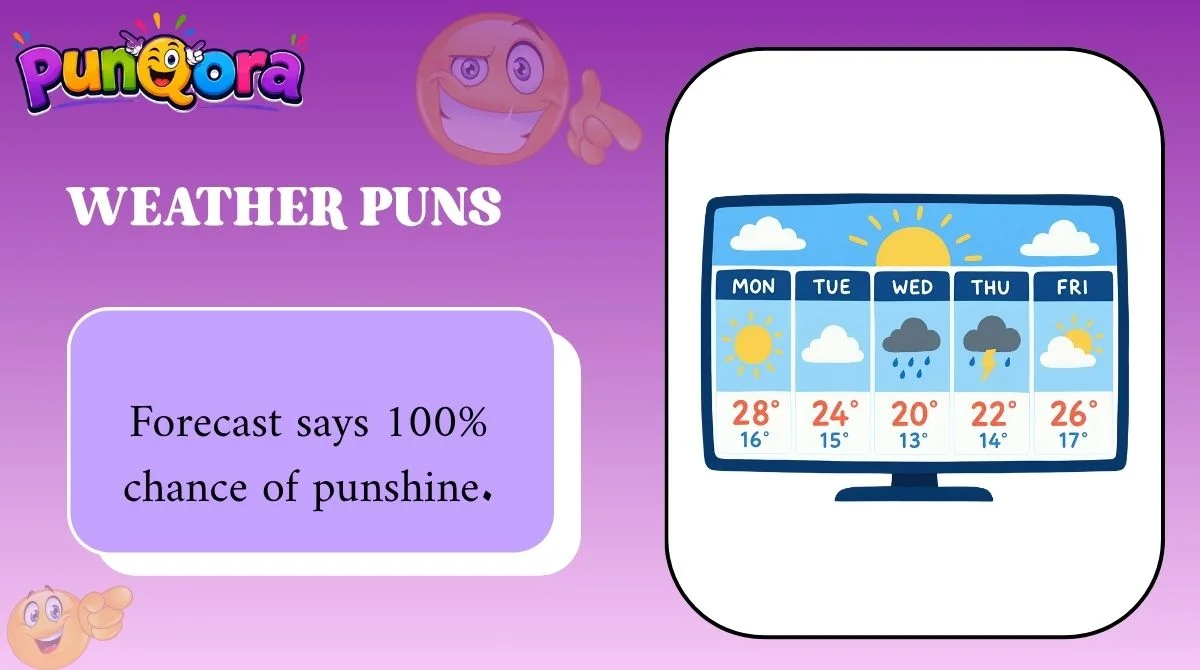 Weather Puns