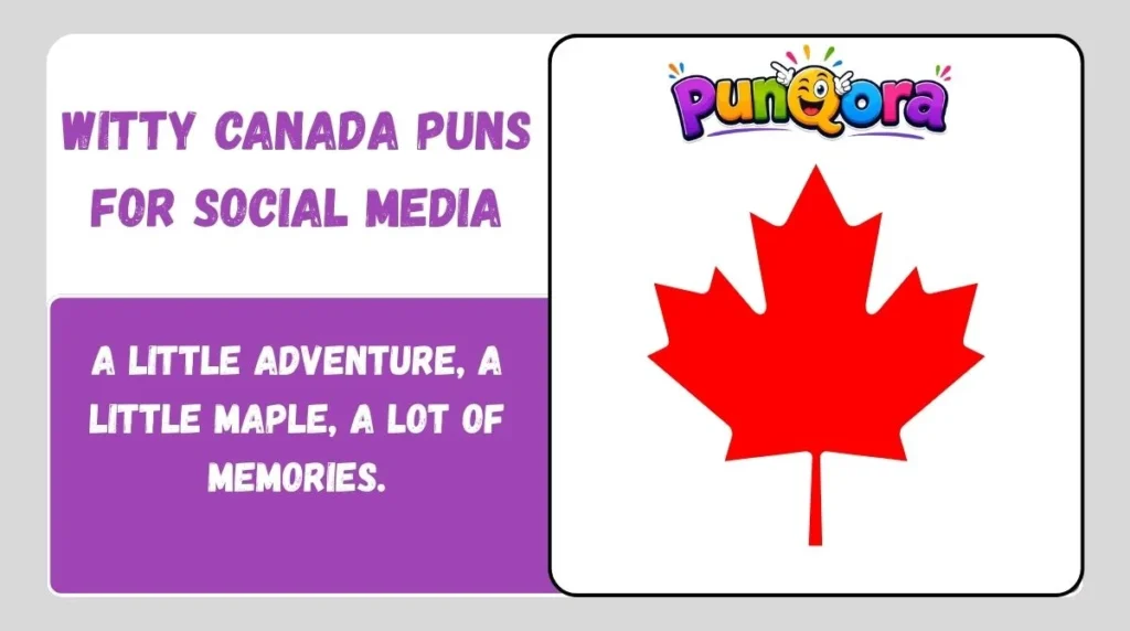 Witty Canada Puns for Social Media