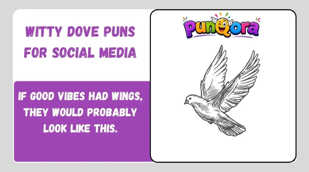 Witty Dove Puns for Social Media