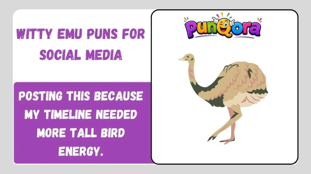 Witty Emu Puns for Social Media