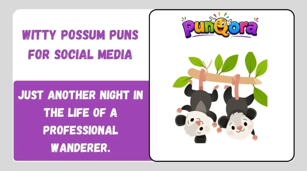 Witty Possum Puns for Social Media